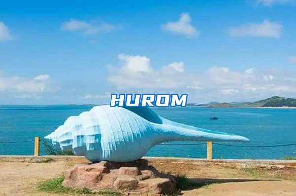 HUROM