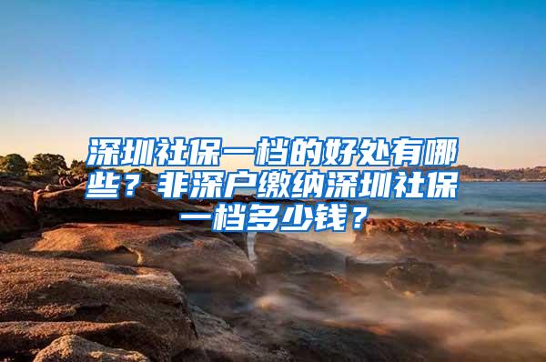 深圳社保一档的好处有哪些？非深户缴纳深圳社保一档多少钱？