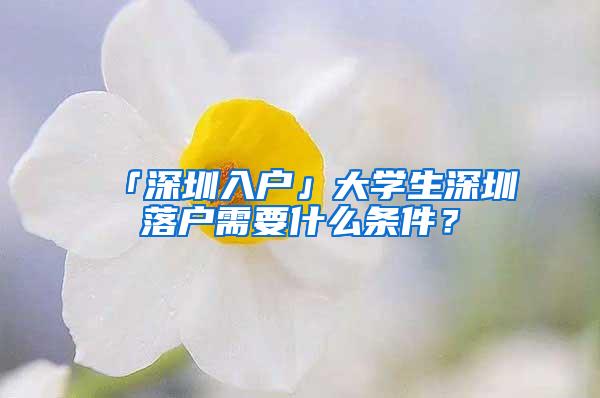 「深圳入户」大学生深圳落户需要什么条件？