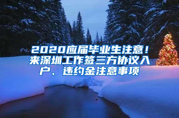 2020应届毕业生注意！来深圳工作签三方协议入户、违约金注意事项