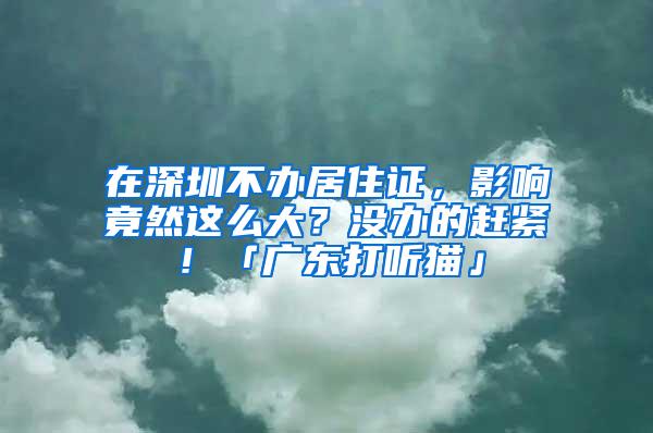 在深圳不办居住证，影响竟然这么大？没办的赶紧！「广东打听猫」