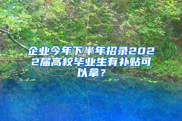 企业今年下半年招录2022届高校毕业生有补贴可以拿？