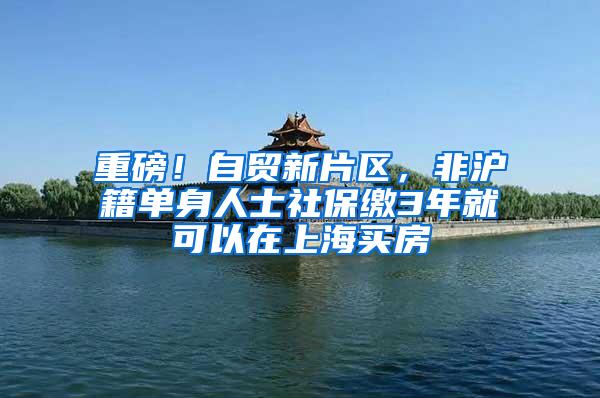 重磅！自贸新片区，非沪籍单身人士社保缴3年就可以在上海买房