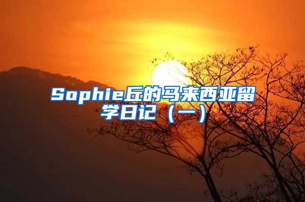 Sophie丘的马来西亚留学日记（一）