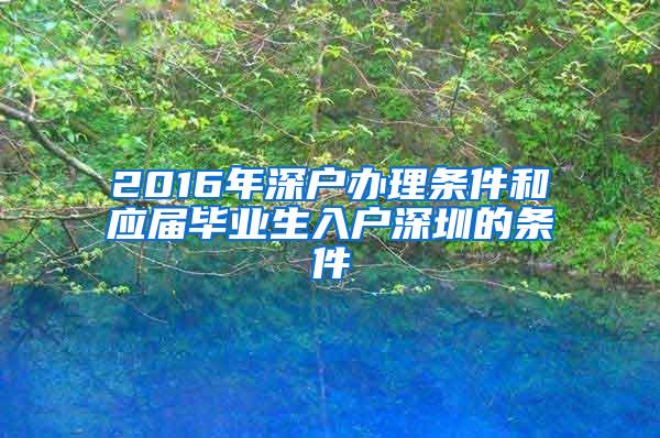 2016年深户办理条件和应届毕业生入户深圳的条件