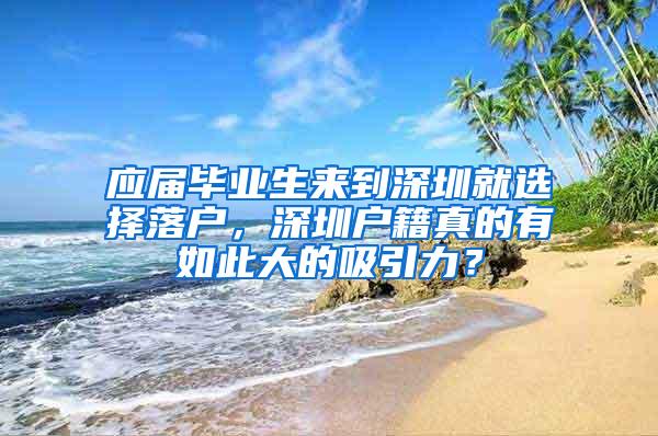 应届毕业生来到深圳就选择落户，深圳户籍真的有如此大的吸引力？