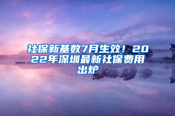 社保新基数7月生效！2022年深圳最新社保费用出炉