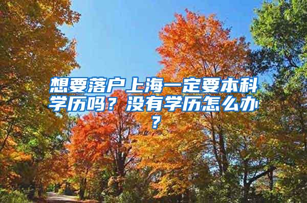 想要落户上海一定要本科学历吗？没有学历怎么办？