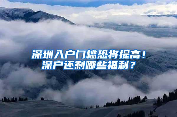 深圳入户门槛恐将提高！深户还剩哪些福利？