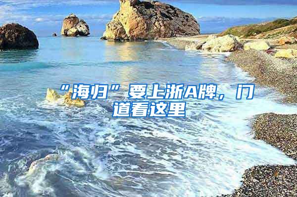 “海归”要上浙A牌，门道看这里