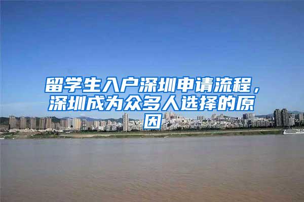 留学生入户深圳申请流程，深圳成为众多人选择的原因