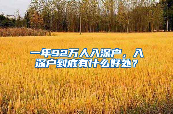 一年92万人入深户，入深户到底有什么好处？