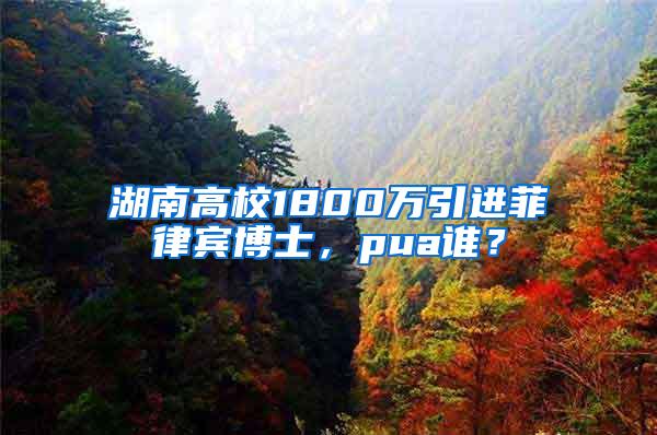 湖南高校1800万引进菲律宾博士，pua谁？