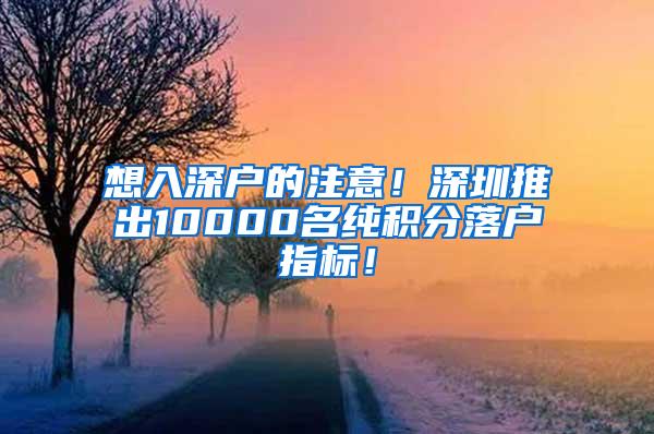 想入深户的注意！深圳推出10000名纯积分落户指标！