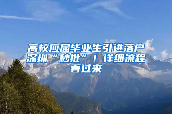 高校应届毕业生引进落户深圳“秒批”！详细流程看过来