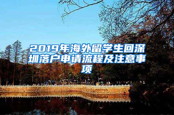 2019年海外留学生回深圳落户申请流程及注意事项