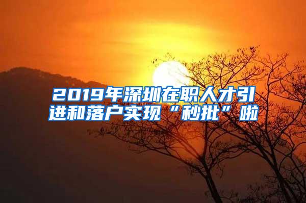 2019年深圳在职人才引进和落户实现“秒批”啦