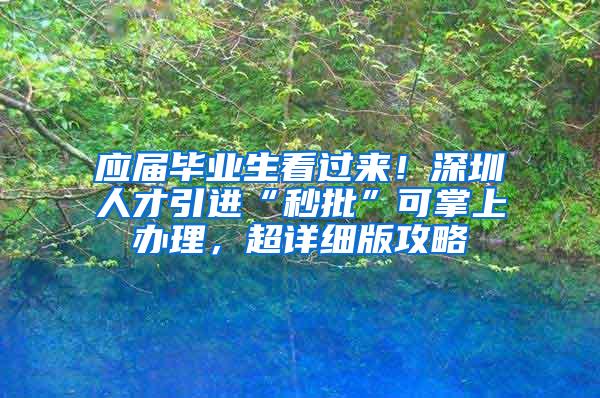 应届毕业生看过来！深圳人才引进“秒批”可掌上办理，超详细版攻略