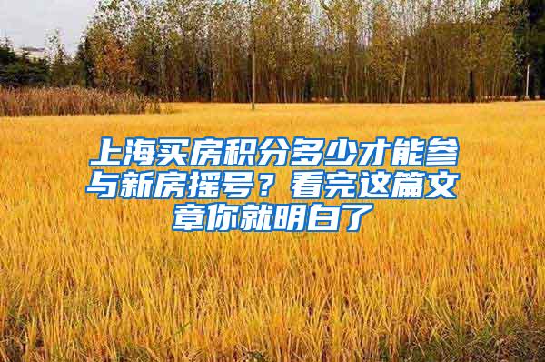 上海买房积分多少才能参与新房摇号？看完这篇文章你就明白了