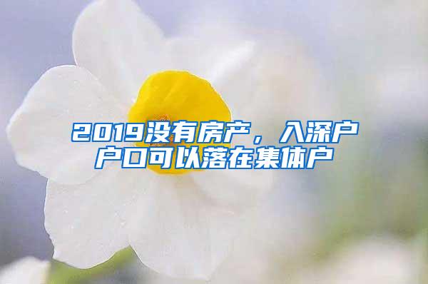 2019没有房产，入深户户口可以落在集体户