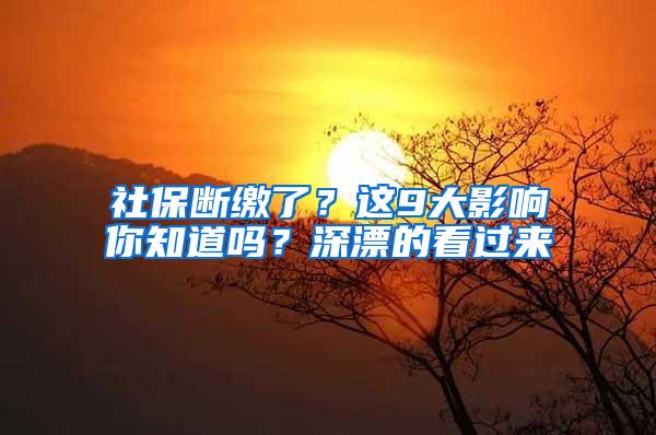 社保断缴了？这9大影响你知道吗？深漂的看过来