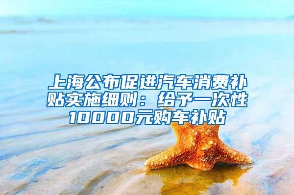 上海公布促进汽车消费补贴实施细则：给予一次性10000元购车补贴