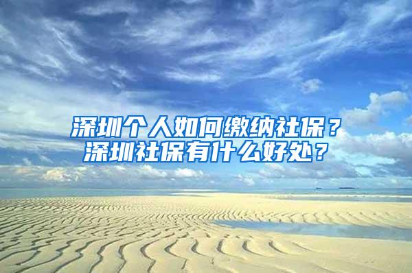 深圳个人如何缴纳社保？深圳社保有什么好处？