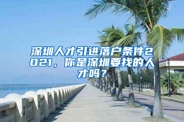 深圳人才引进落户条件2021，你是深圳要找的人才吗？