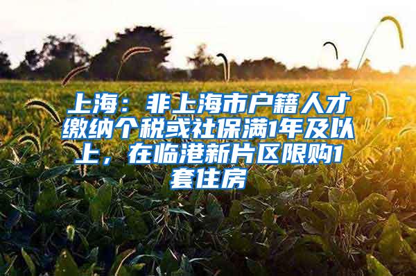 上海：非上海市户籍人才缴纳个税或社保满1年及以上，在临港新片区限购1套住房