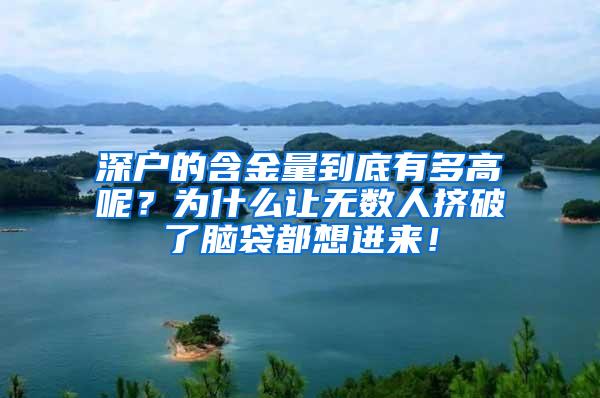 深户的含金量到底有多高呢？为什么让无数人挤破了脑袋都想进来！