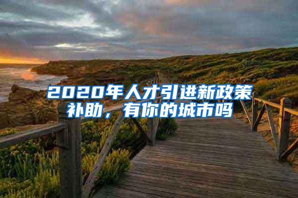 2020年人才引进新政策补助，有你的城市吗