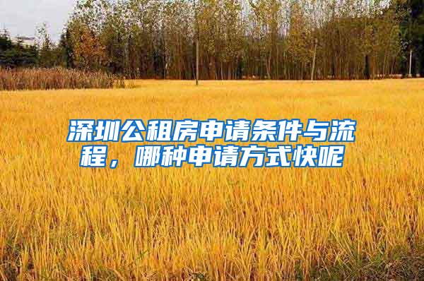 深圳公租房申请条件与流程，哪种申请方式快呢