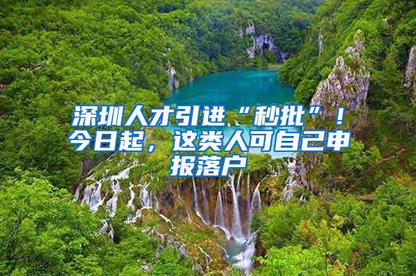 深圳人才引进“秒批”！今日起，这类人可自己申报落户