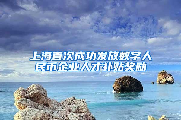 上海首次成功发放数字人民币企业人才补贴奖励