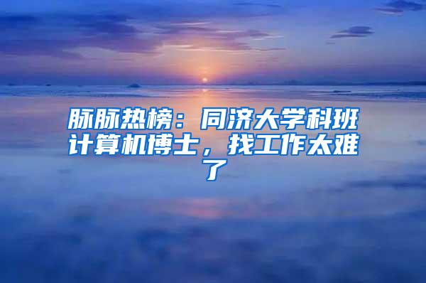 脉脉热榜：同济大学科班计算机博士，找工作太难了