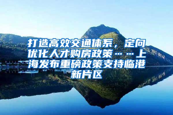 打造高效交通体系，定向优化人才购房政策……上海发布重磅政策支持临港新片区