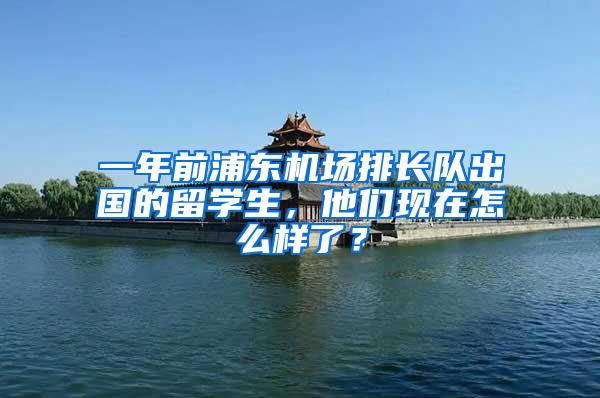 一年前浦东机场排长队出国的留学生，他们现在怎么样了？