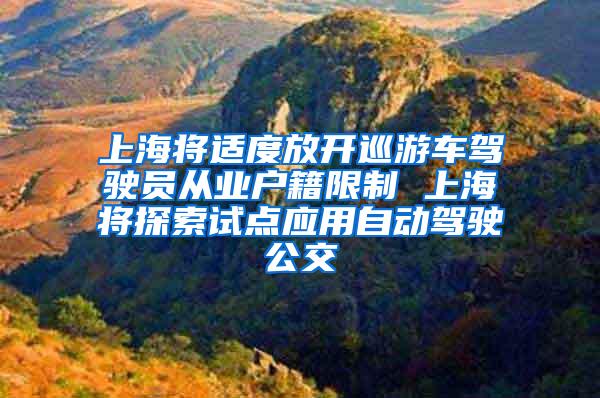 上海将适度放开巡游车驾驶员从业户籍限制 上海将探索试点应用自动驾驶公交