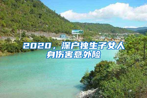 2020，深户独生子女人身伤害意外险