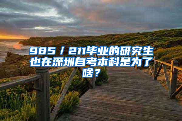 985／211毕业的研究生也在深圳自考本科是为了啥？