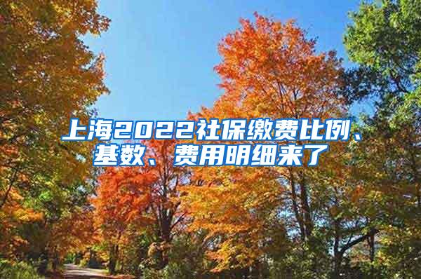 上海2022社保缴费比例、基数、费用明细来了