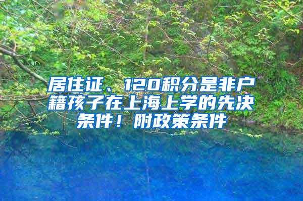 居住证、120积分是非户籍孩子在上海上学的先决条件！附政策条件