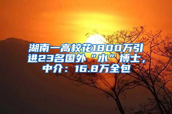 湖南一高校花1800万引进23名国外“水”博士，中介：16.8万全包