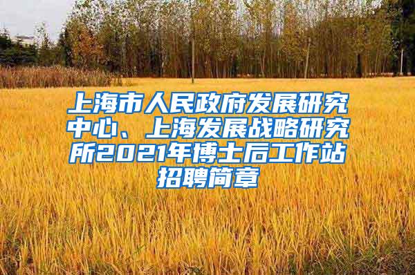 上海市人民政府发展研究中心、上海发展战略研究所2021年博士后工作站招聘简章