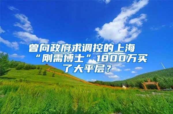 曾向政府求调控的上海“刚需博士”1800万买了大平层？