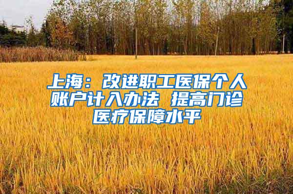 上海：改进职工医保个人账户计入办法 提高门诊医疗保障水平