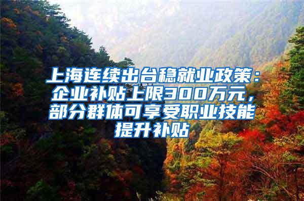 上海连续出台稳就业政策：企业补贴上限300万元，部分群体可享受职业技能提升补贴