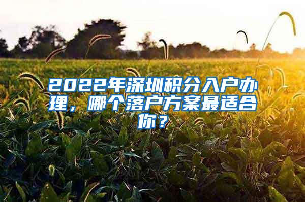 2022年深圳积分入户办理，哪个落户方案最适合你？