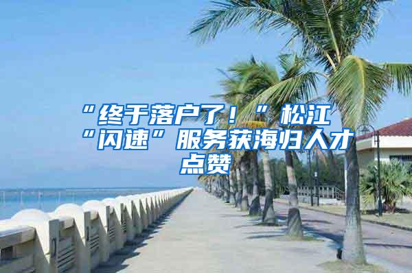 “终于落户了！”松江“闪速”服务获海归人才点赞