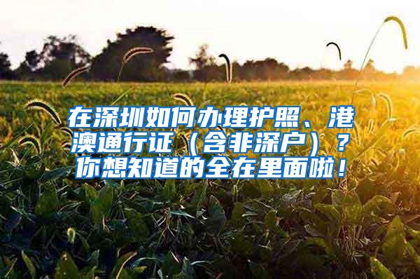 在深圳如何办理护照、港澳通行证（含非深户）？你想知道的全在里面啦！